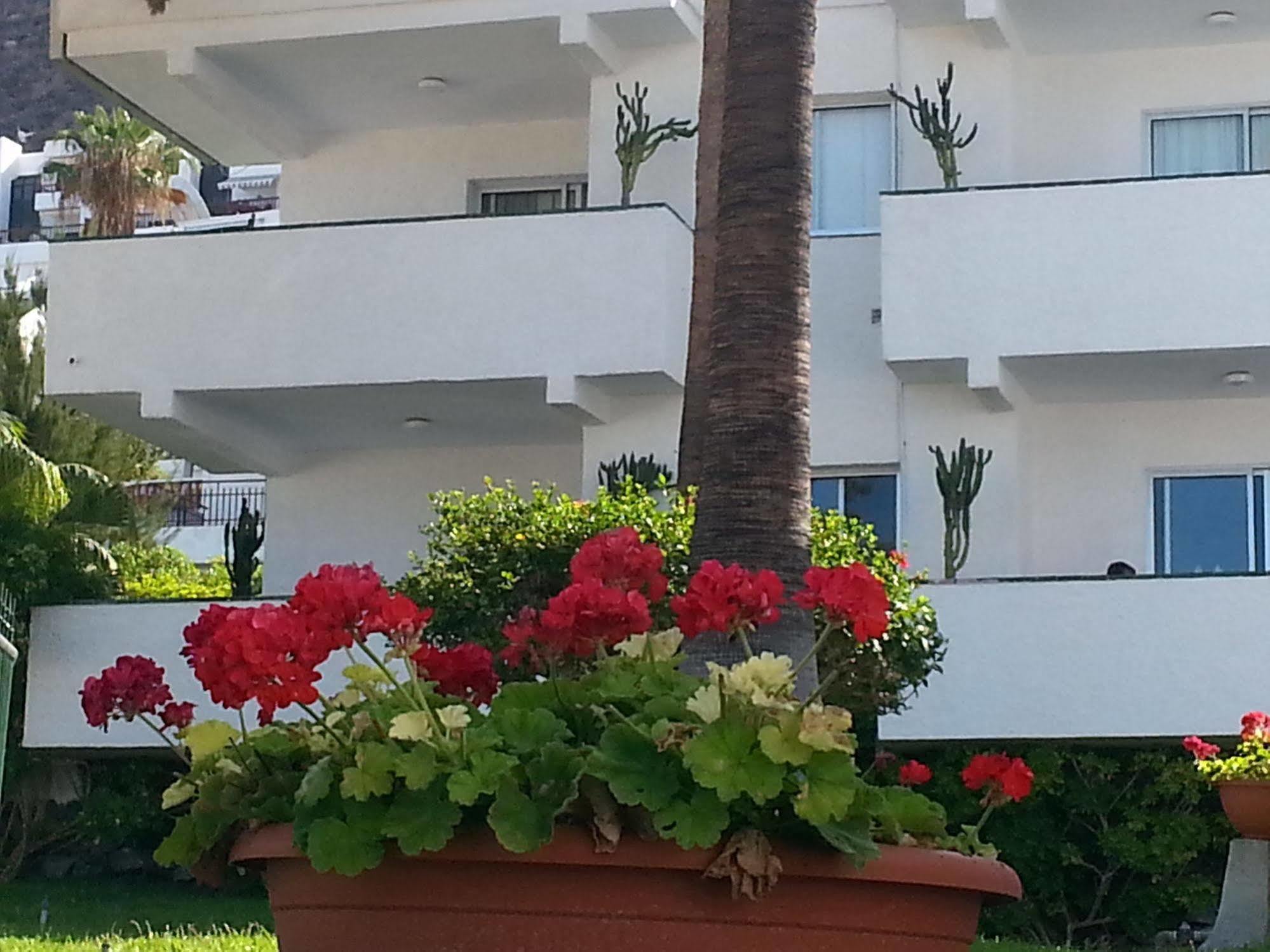 Apartamentos El Sombrero Acantilado de los Gigantes Bagian luar foto